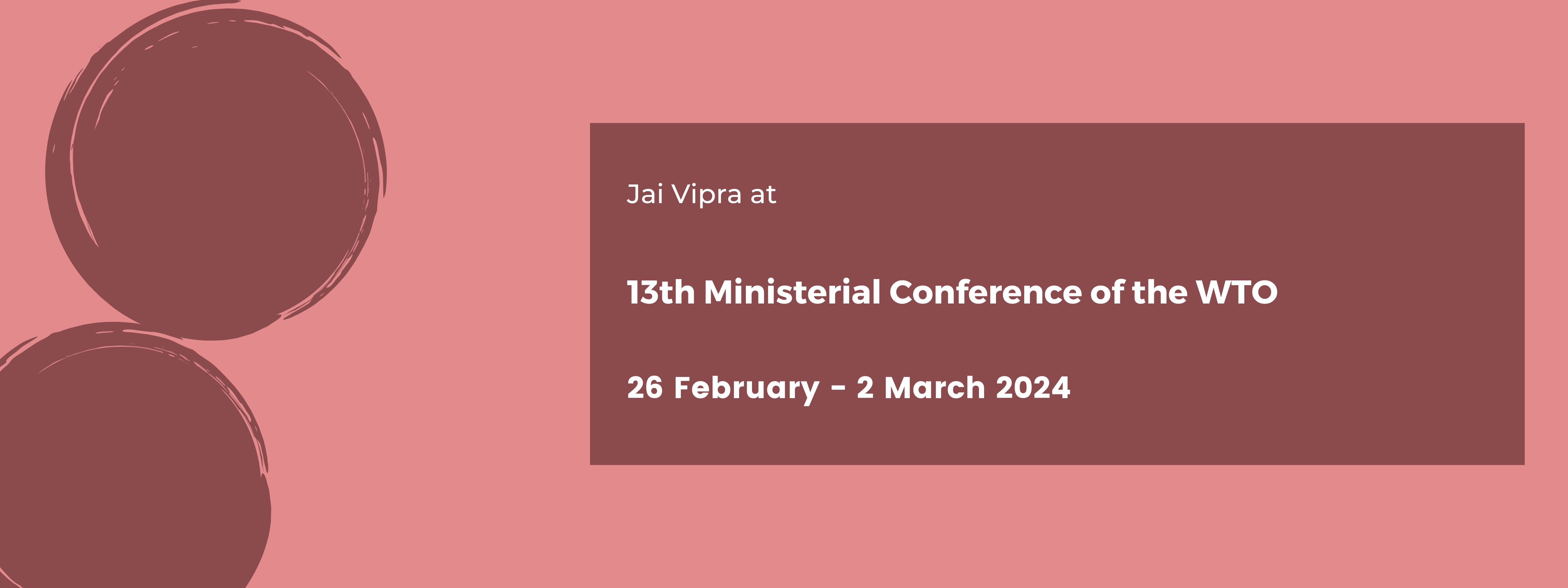 13th Ministerial Conference of the WTO