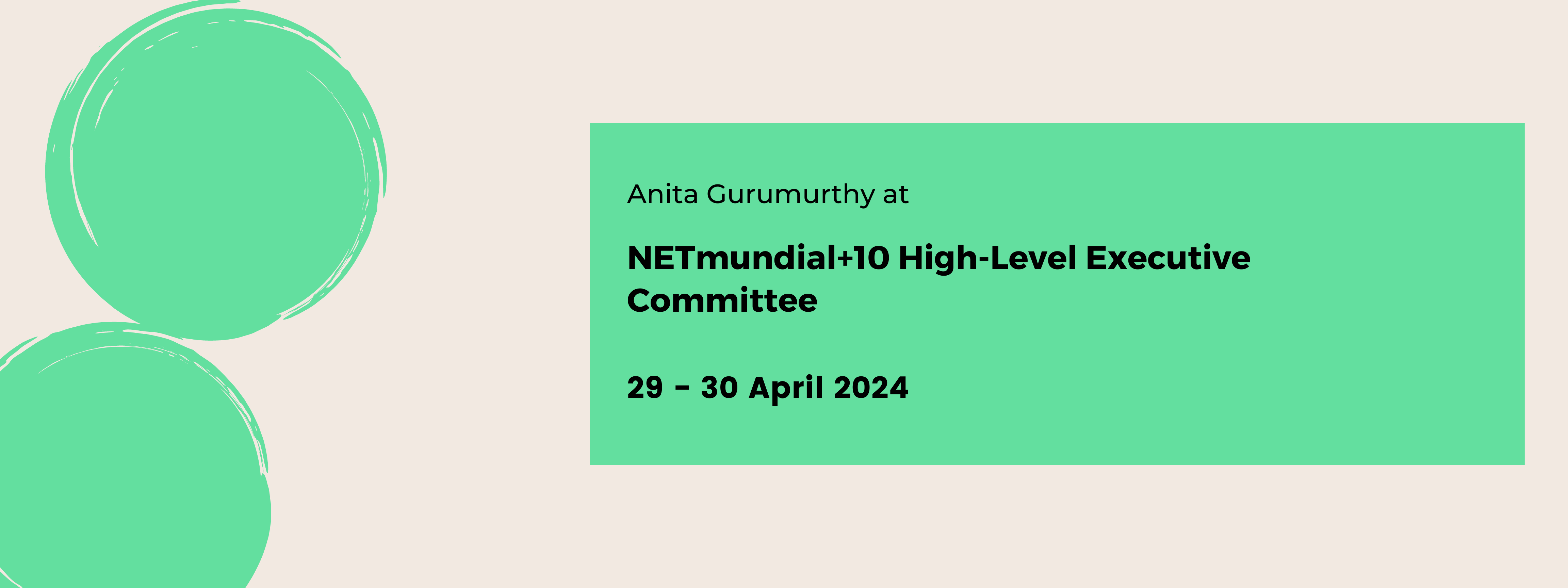 NETmundial+10 High-Level Executive Committee Event Banner